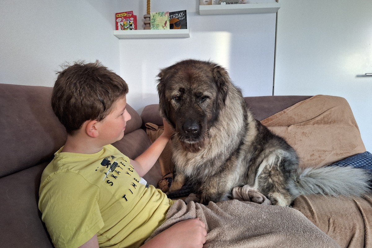 Heidi