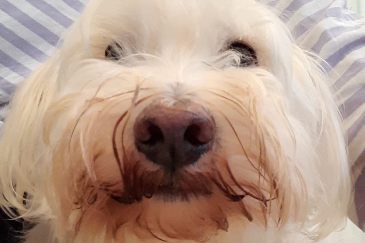 Stan