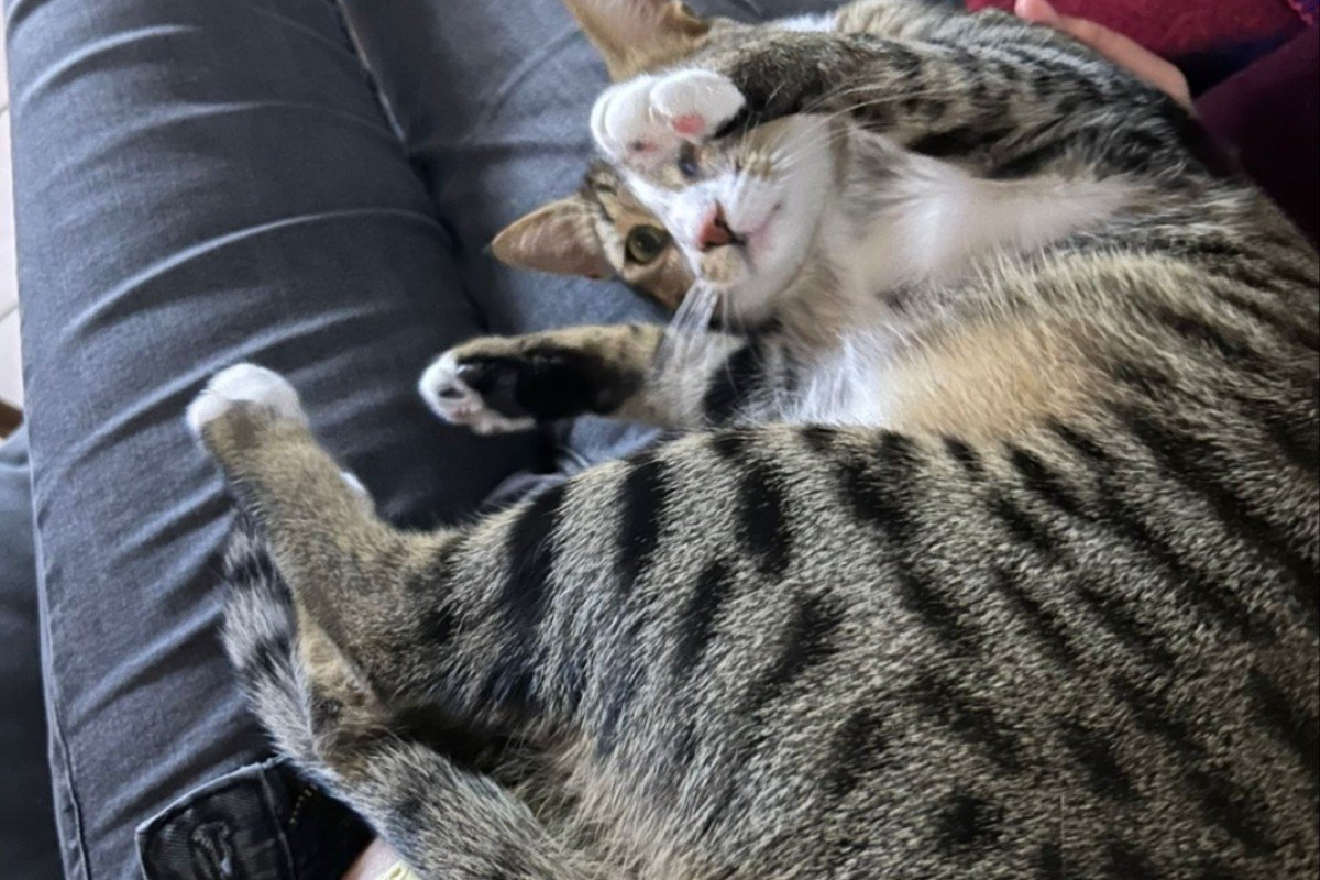 Giorgios