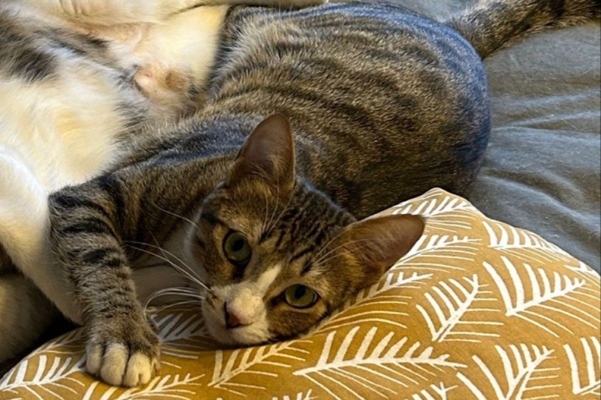 Giorgios