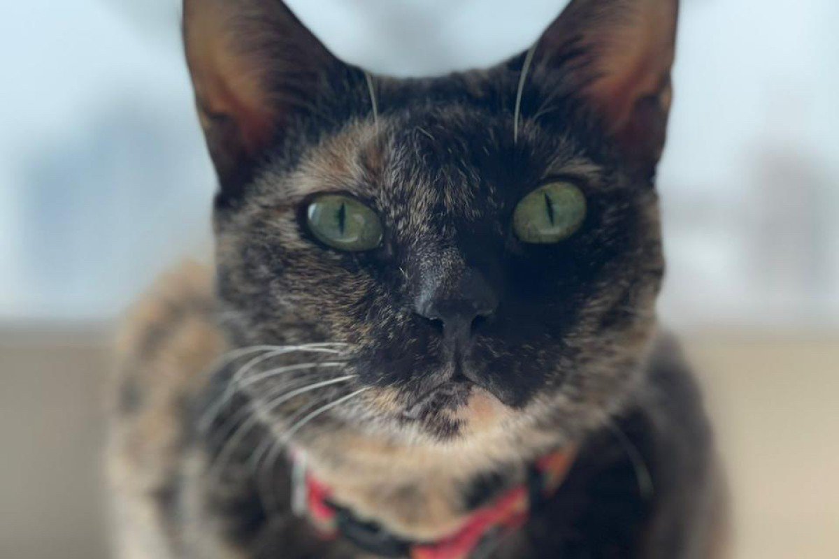 Ruby