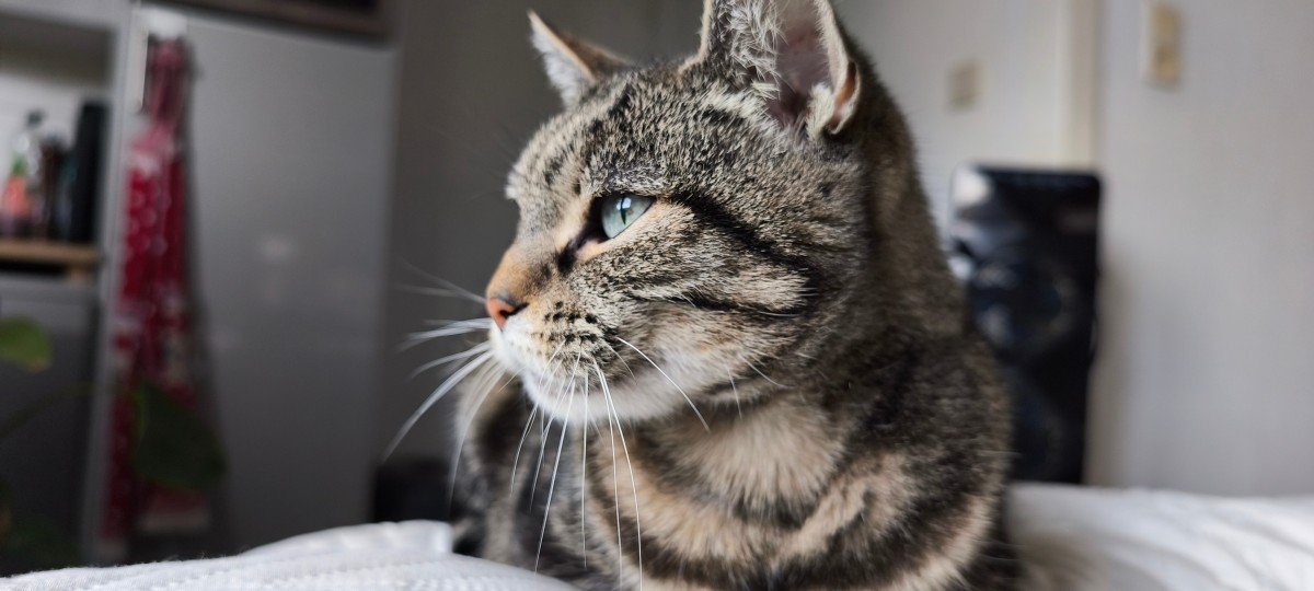 Anouk