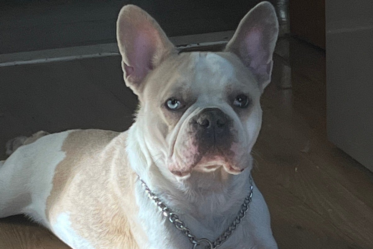 Bailey
