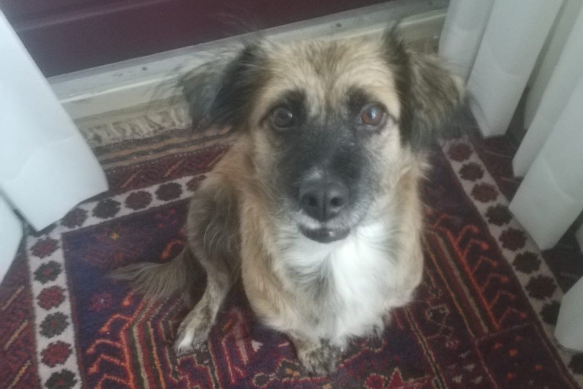 Kajsa