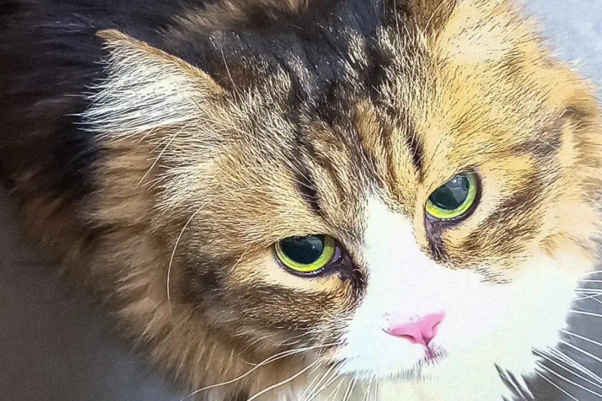 Freya