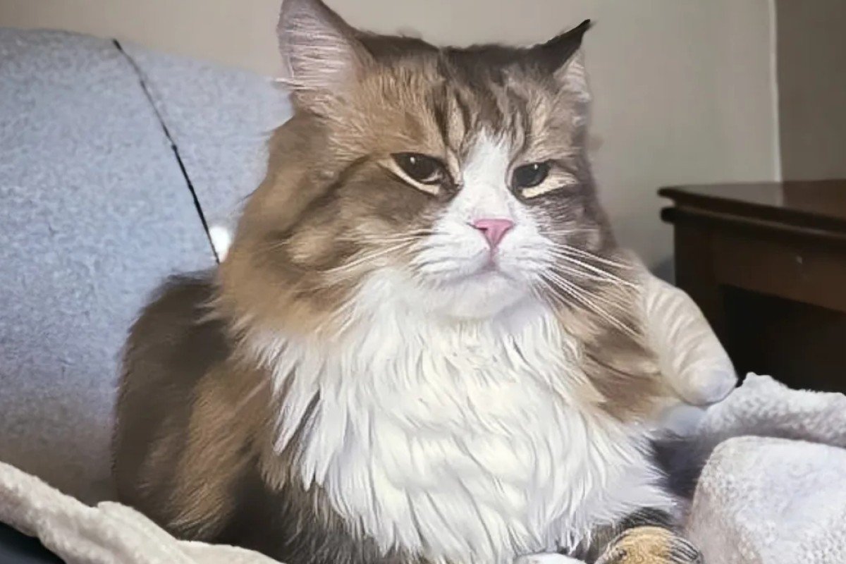 Freya