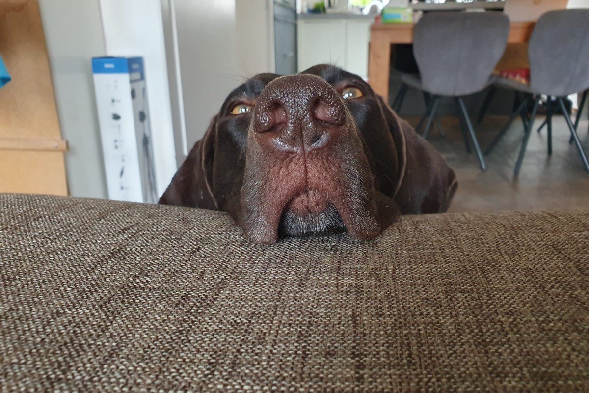 Sissi
