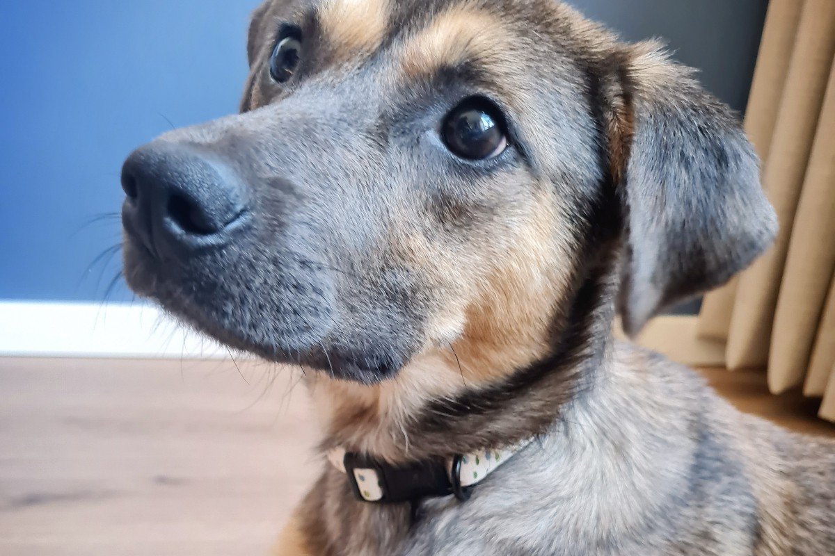 Lucy