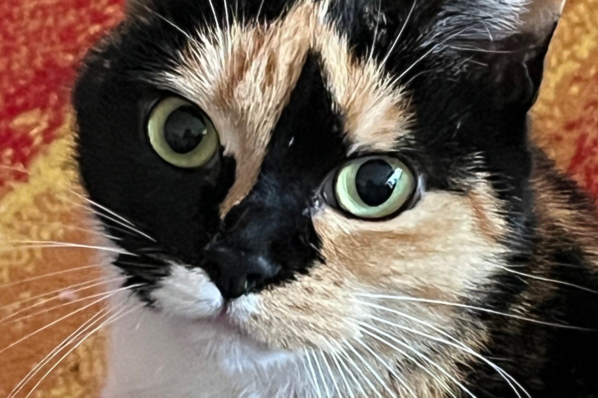 Kira