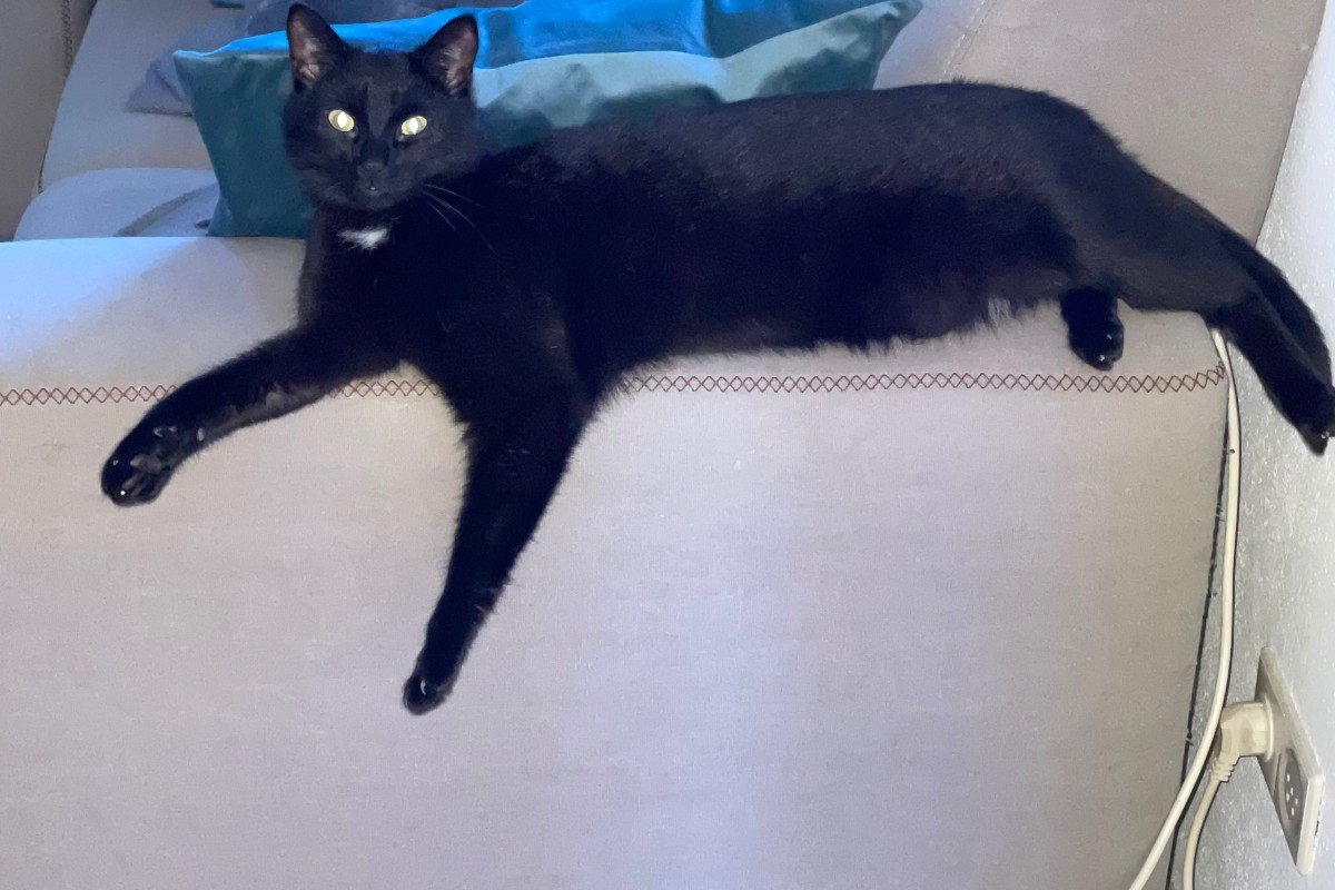 Loki