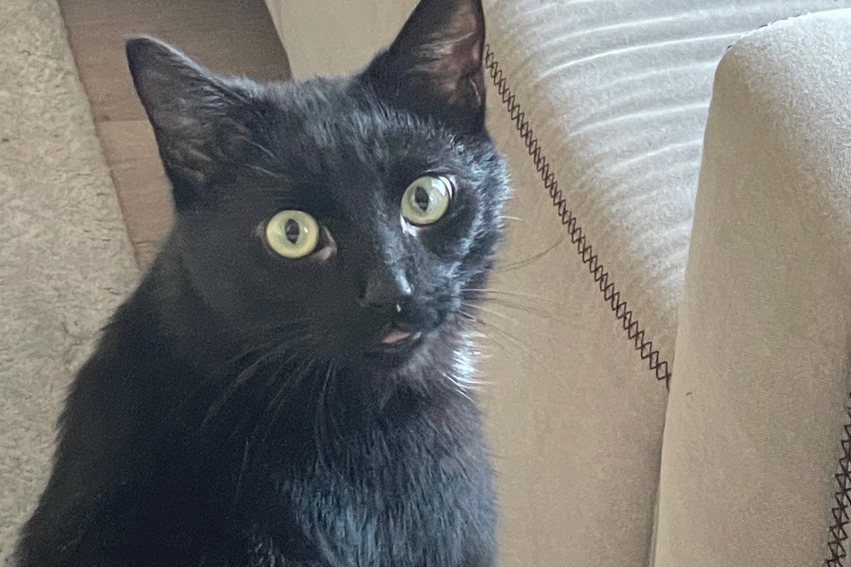 Loki