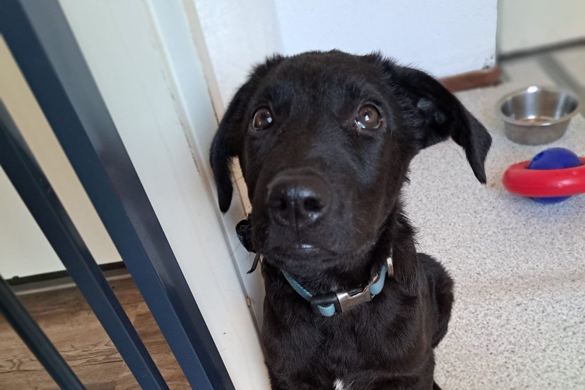 Duncan