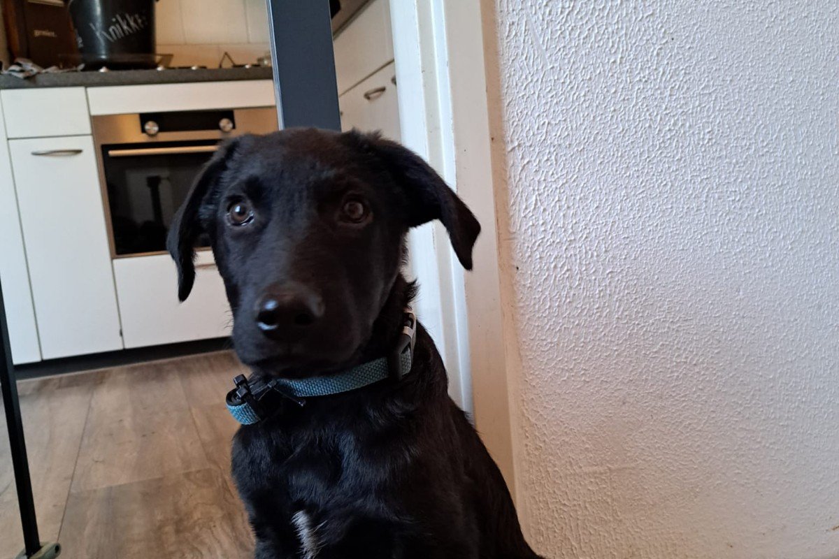 Duncan
