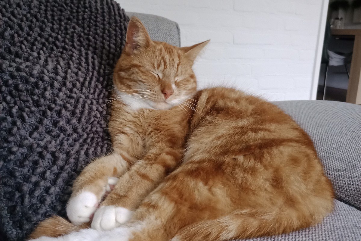 Karel