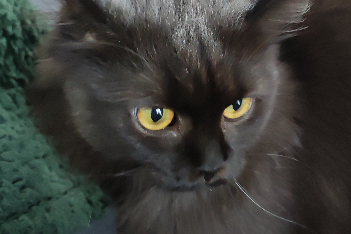 Luna