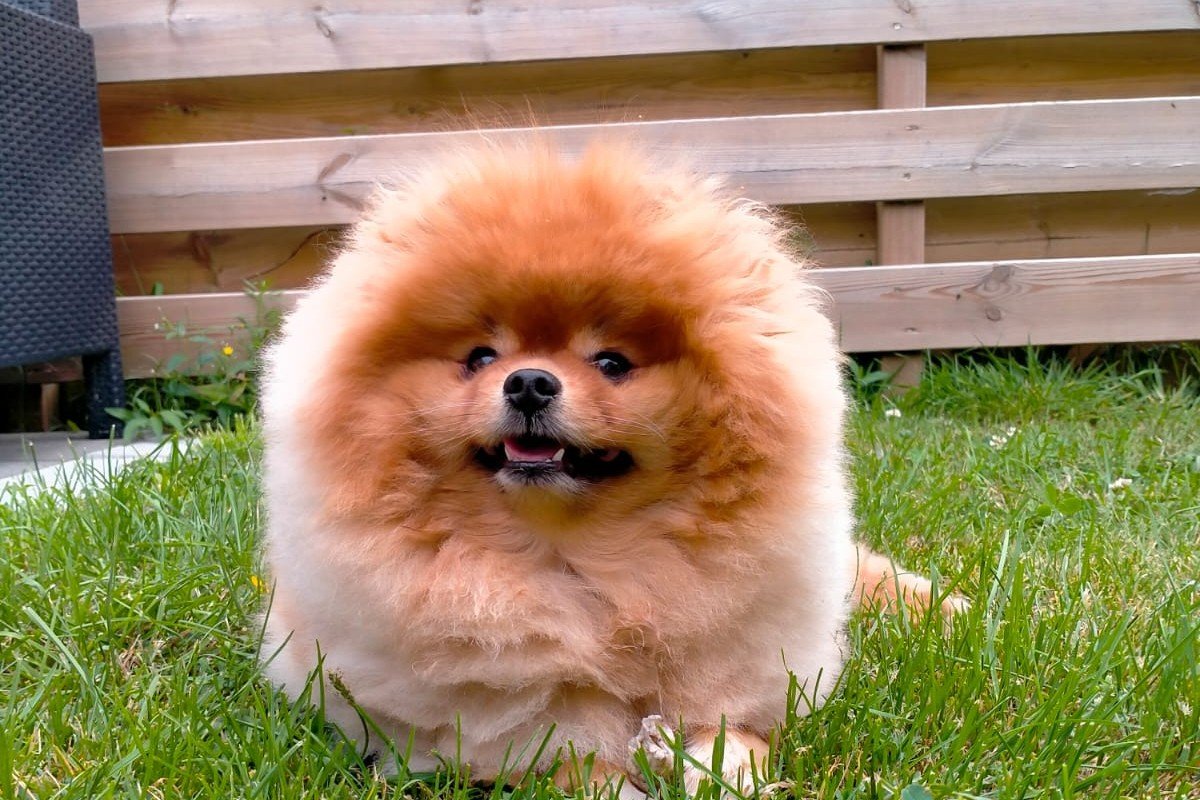 Bailey