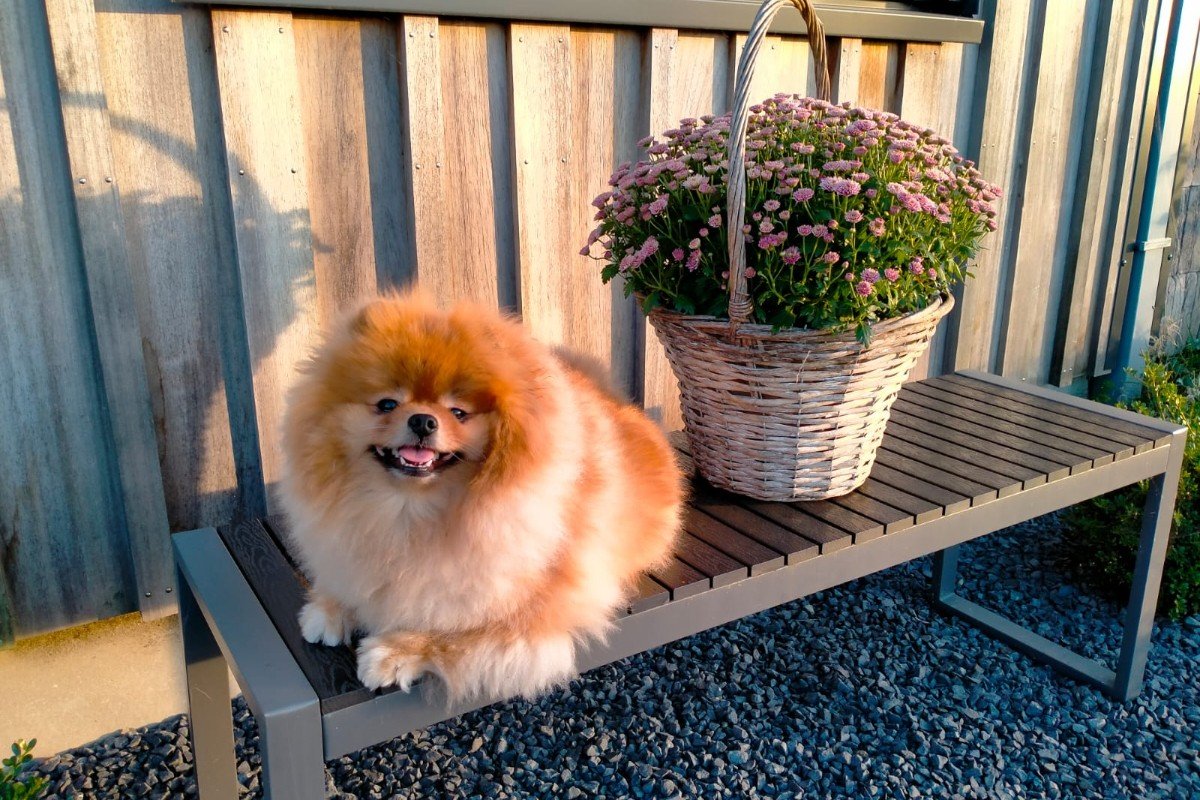 Bailey