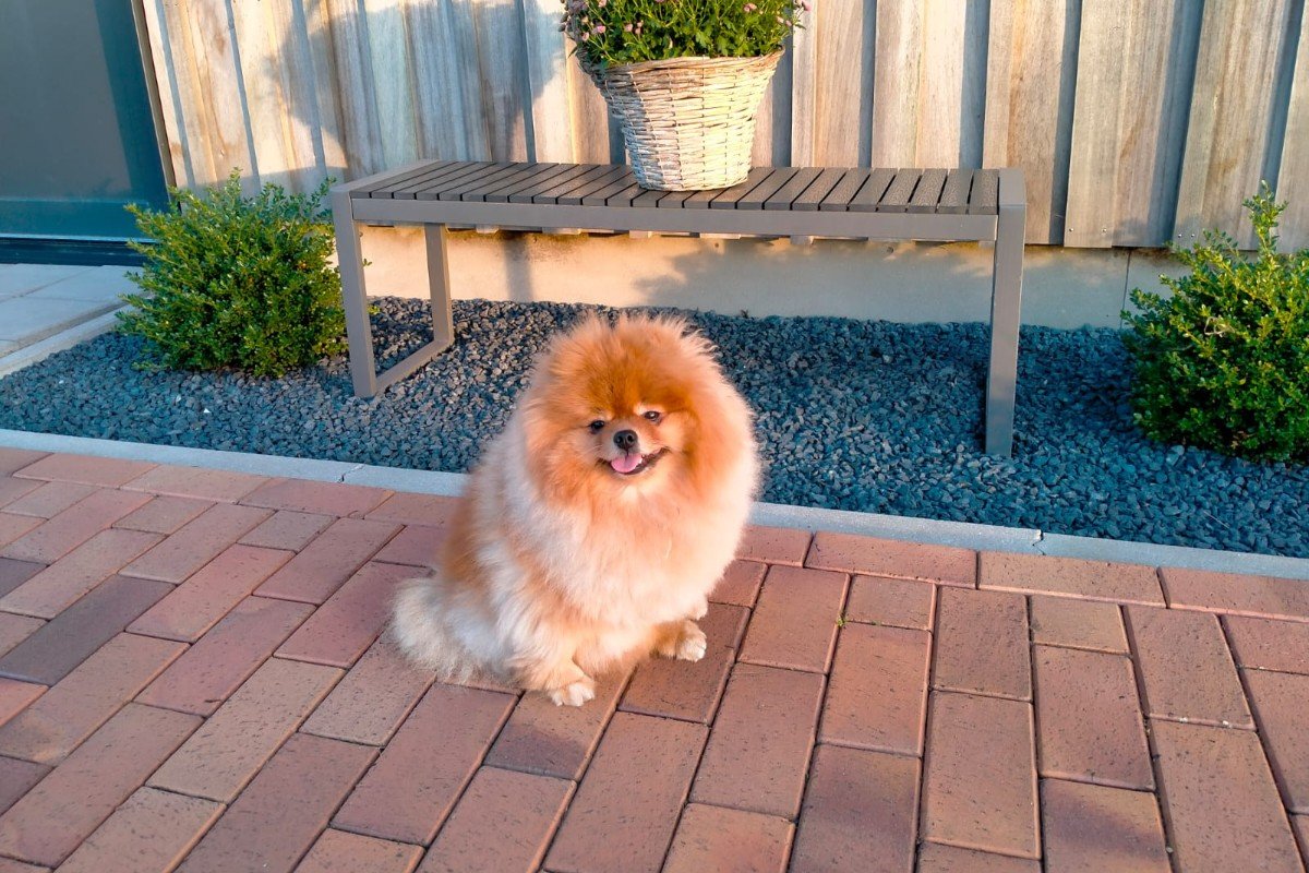 Bailey