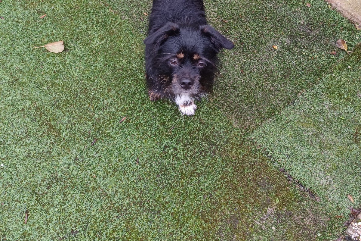Max