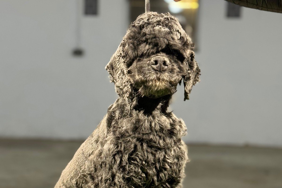 Balou