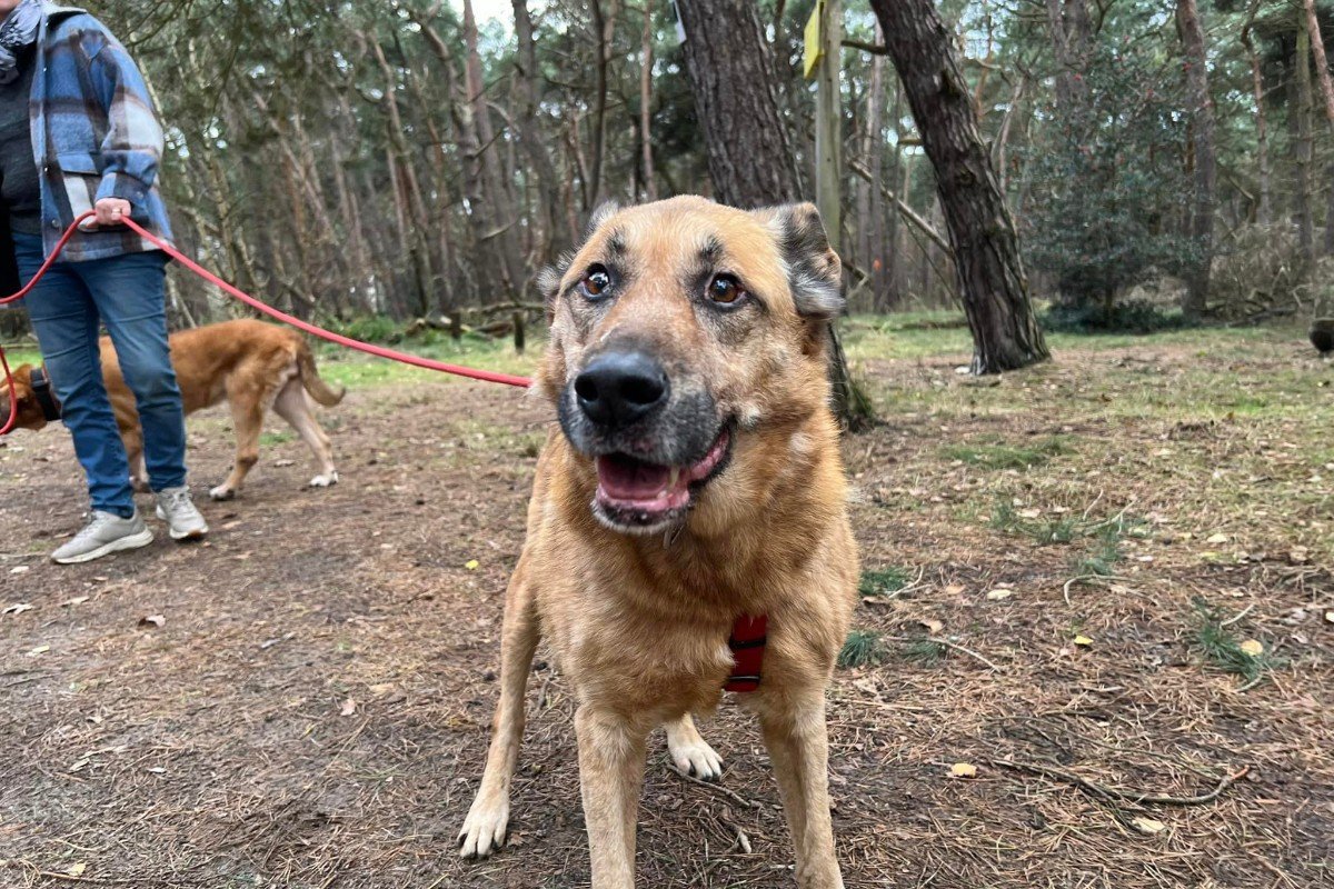 Tobi