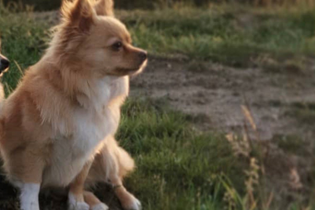 Bella