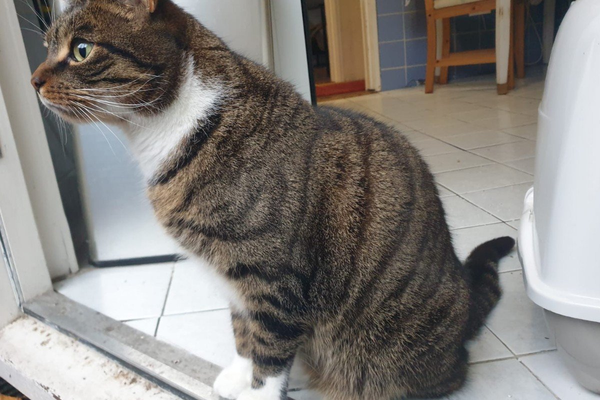 Soes, teveel reacties!