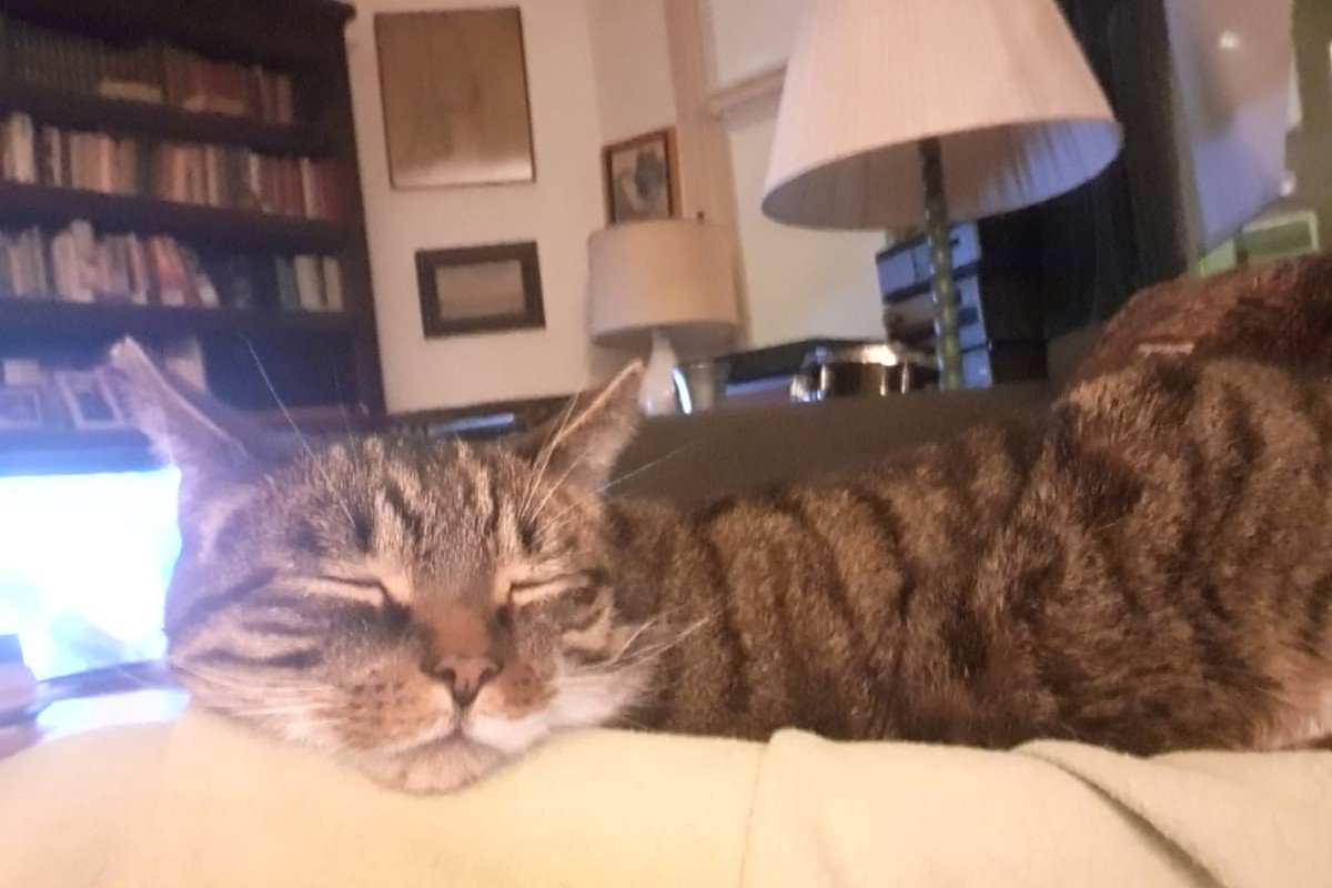 Soes, teveel reacties!