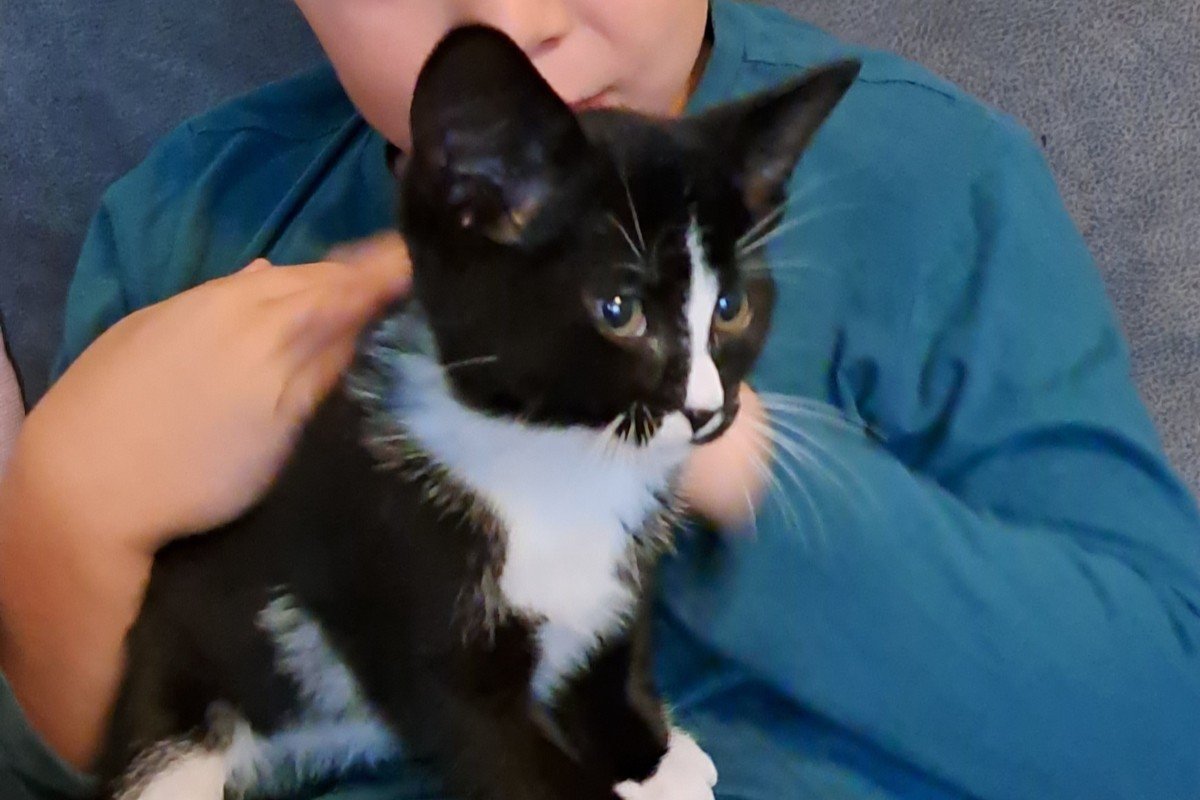 Gijs