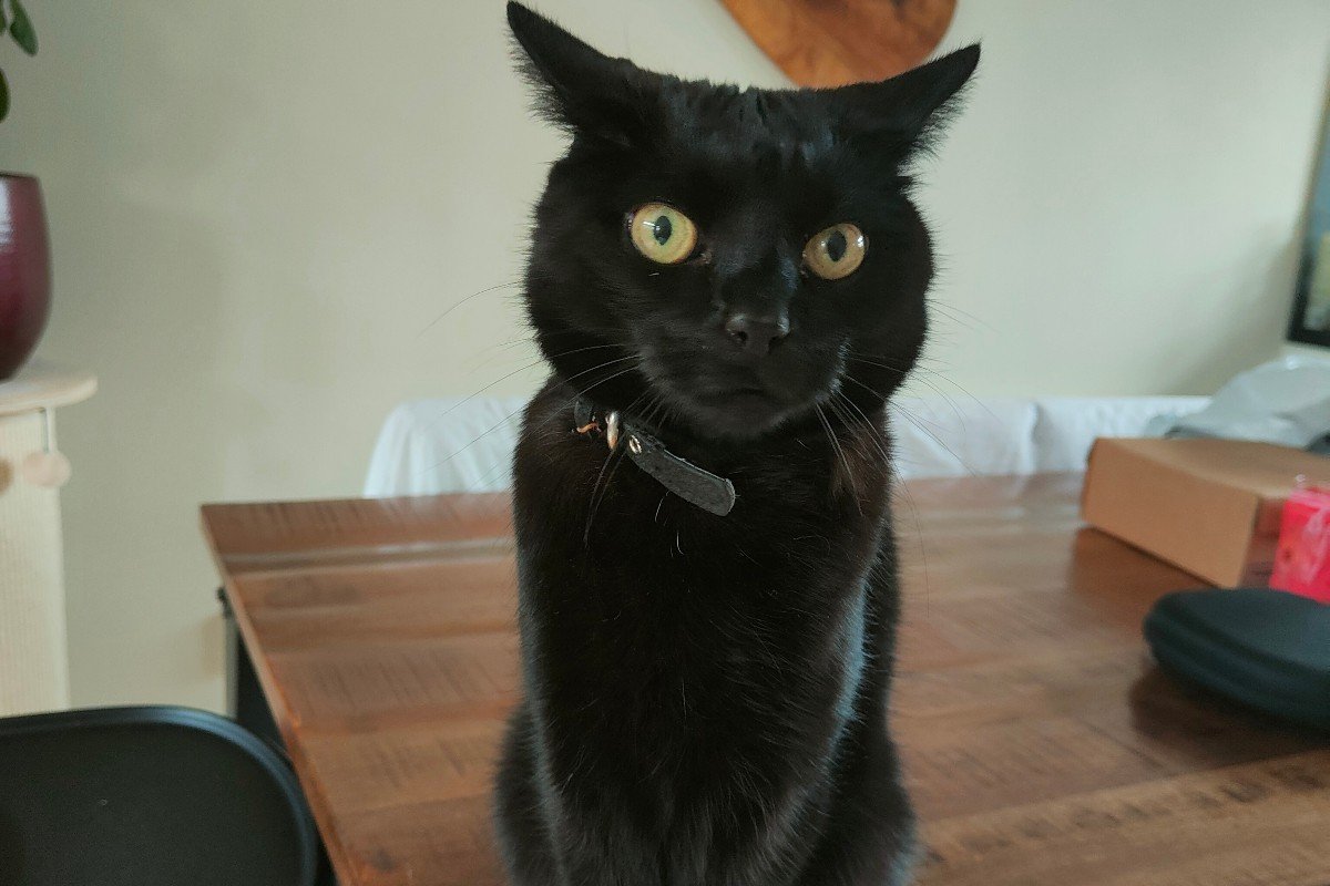 Jack