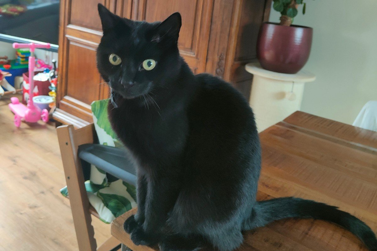 Jack