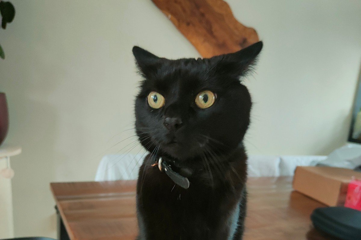 Jack