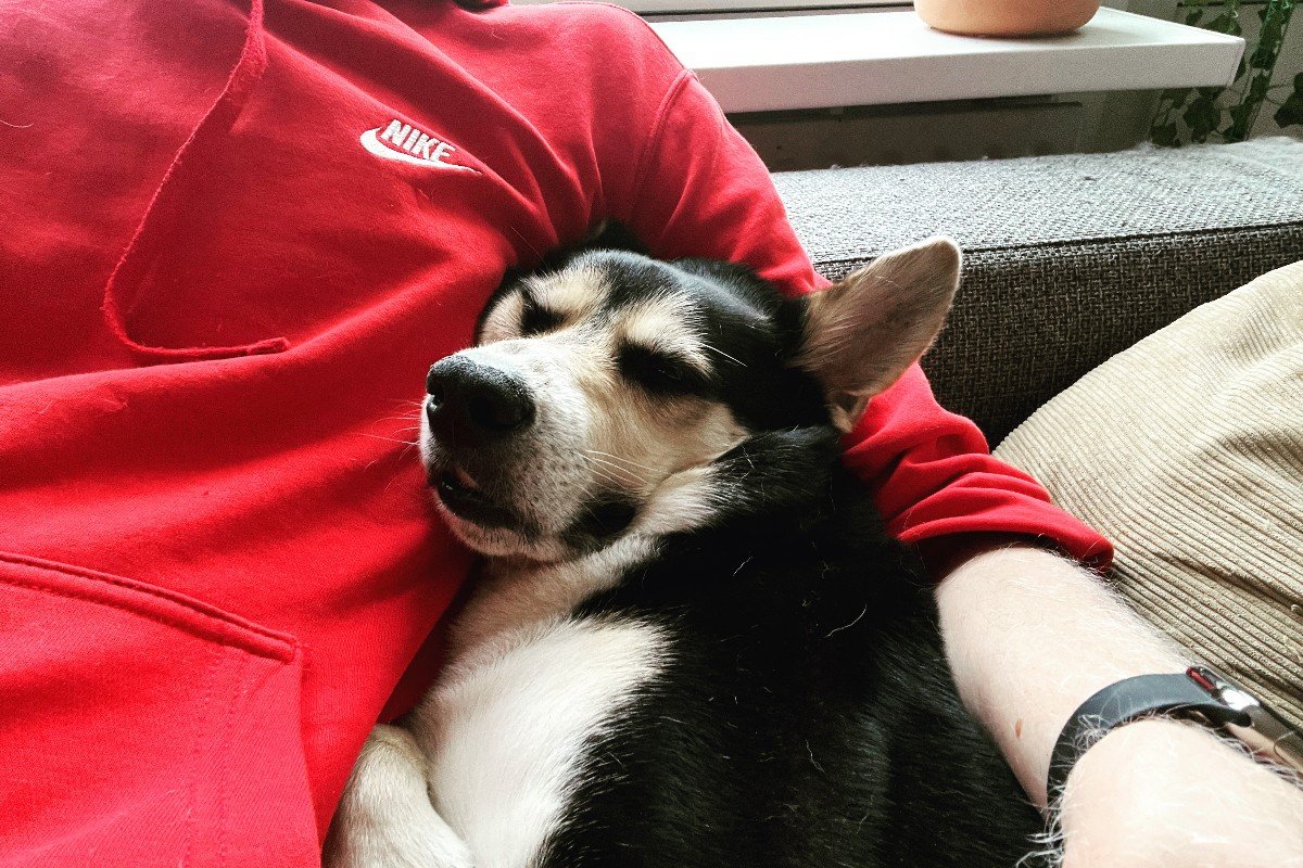 Eddie