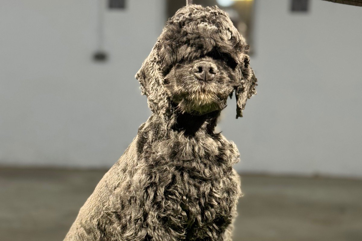 Balou