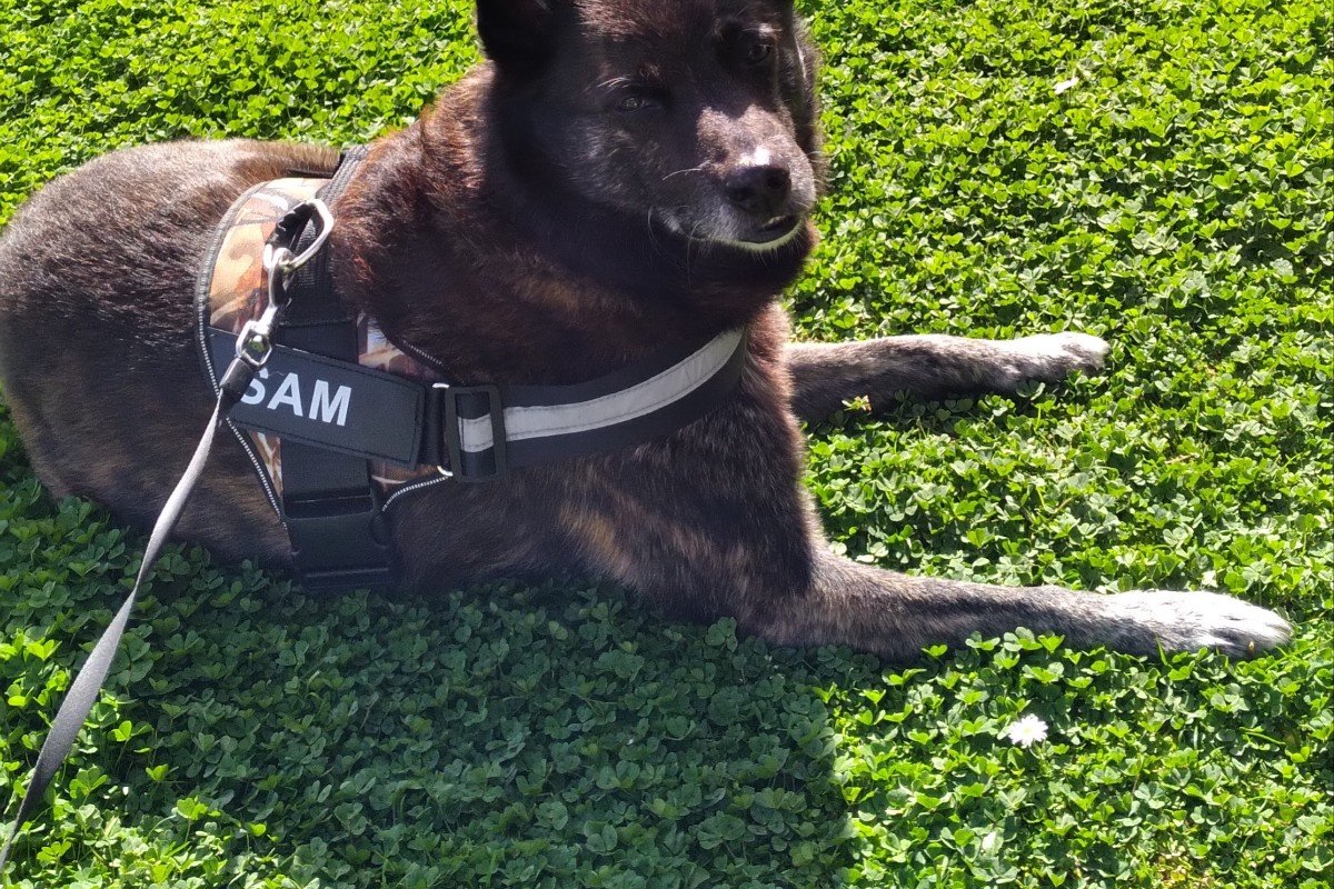 Sam