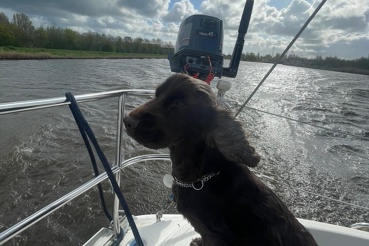 Loetje