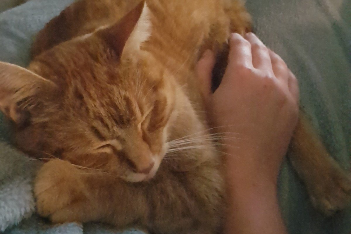 Jax