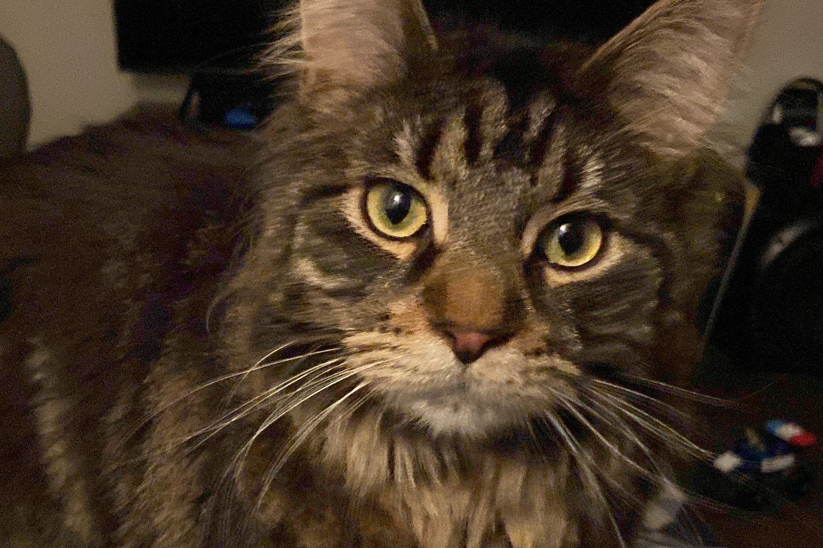 Ori