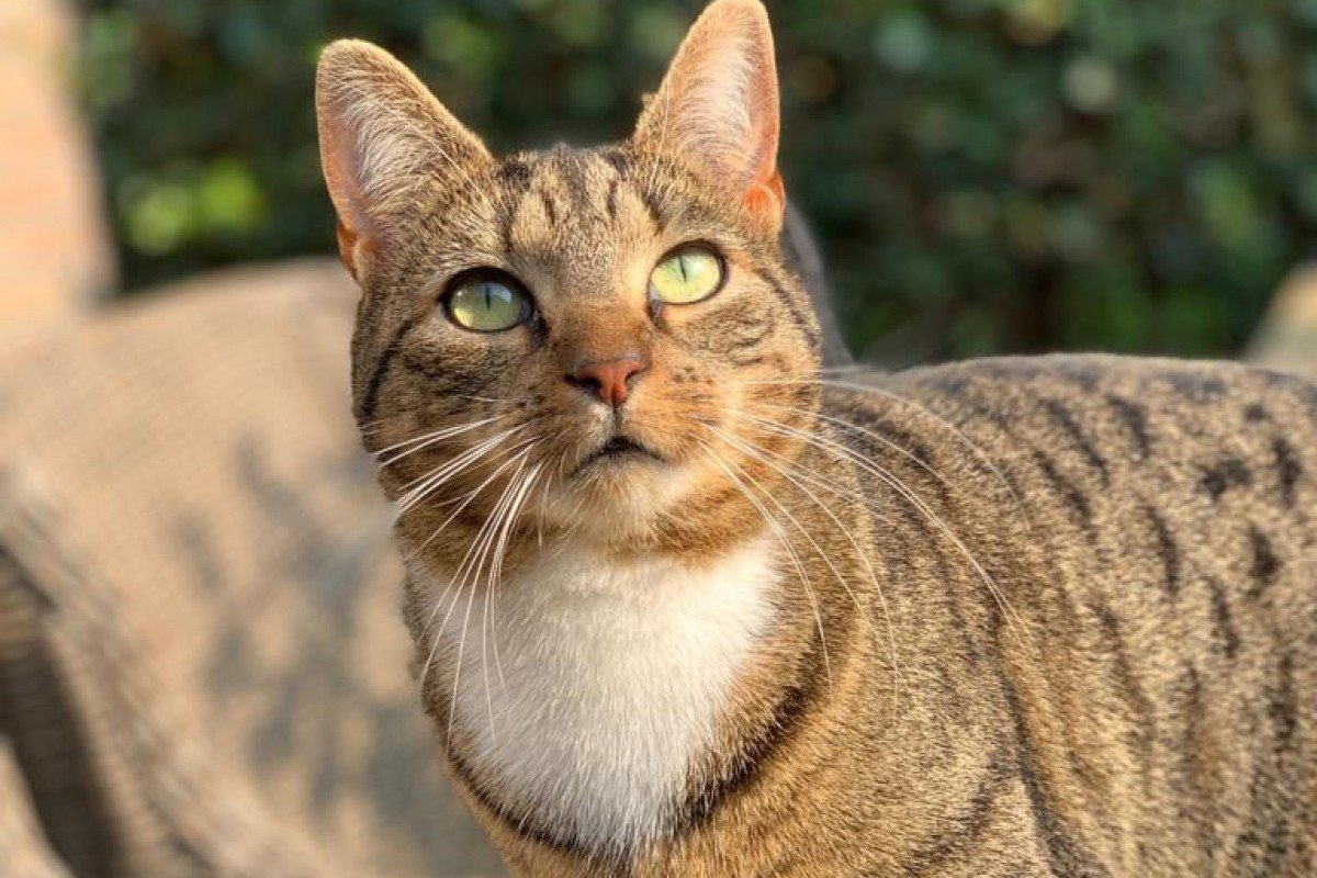 Loetje