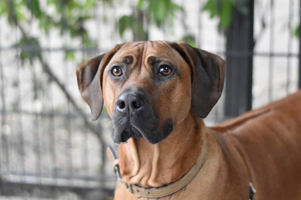 Max