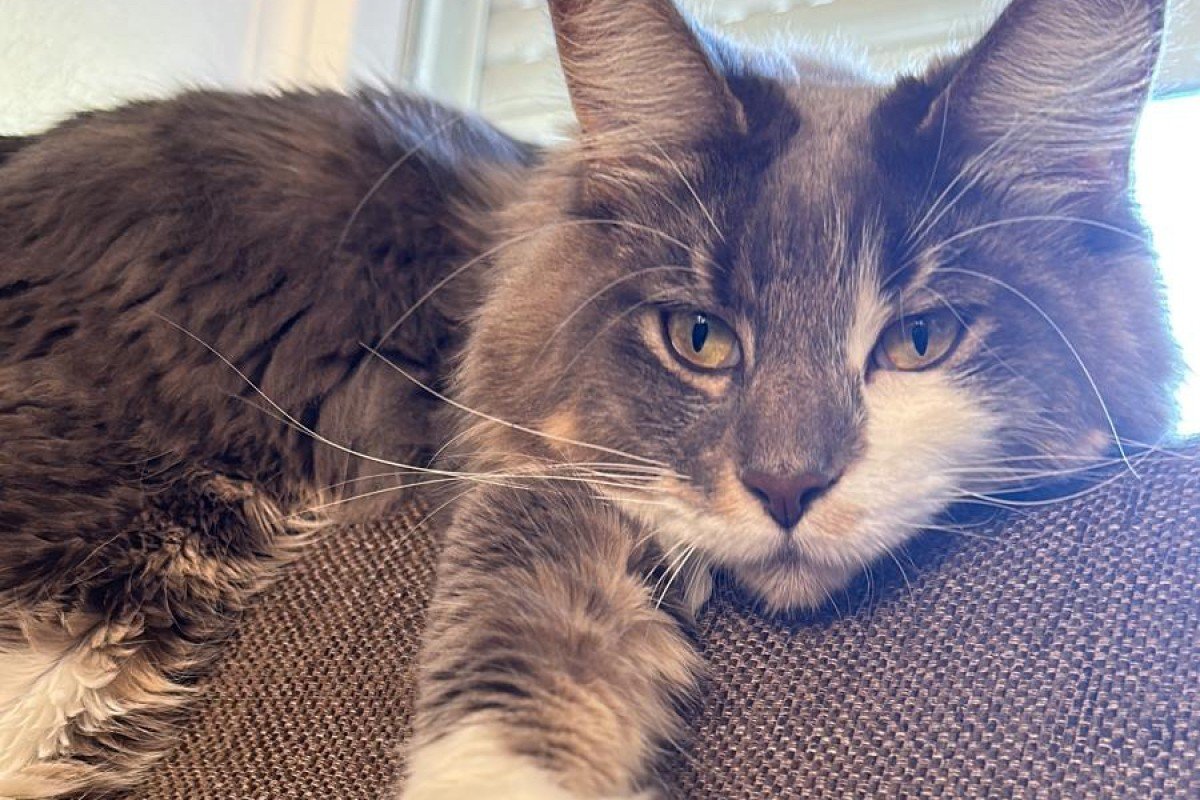 Freya