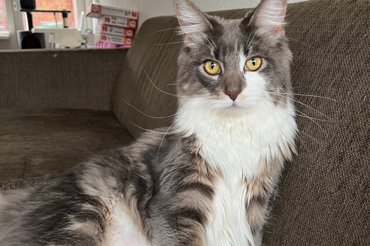 Freya