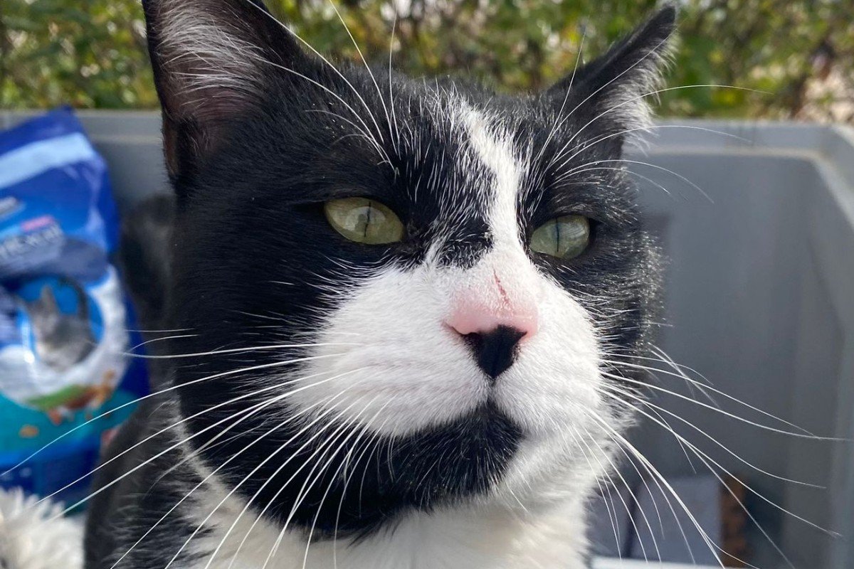 Archie