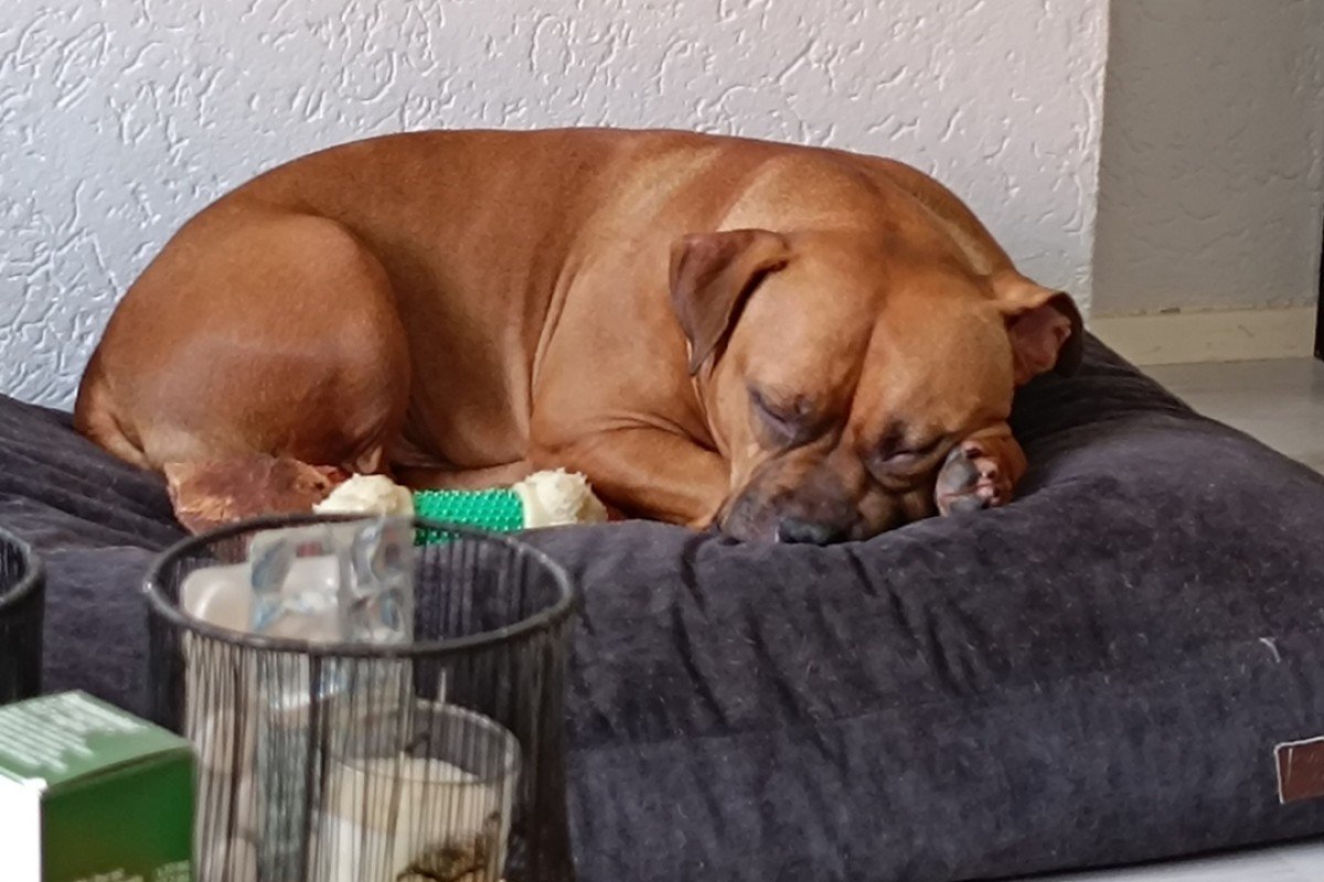 Hugo