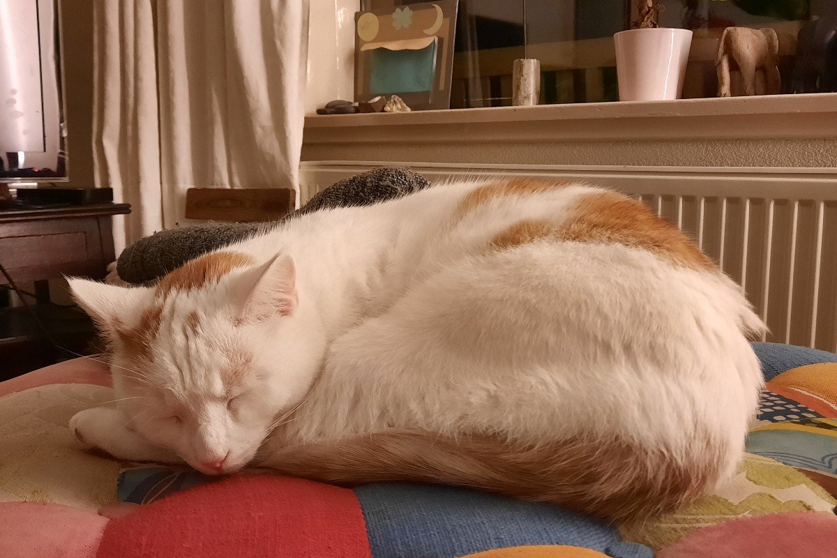 Max