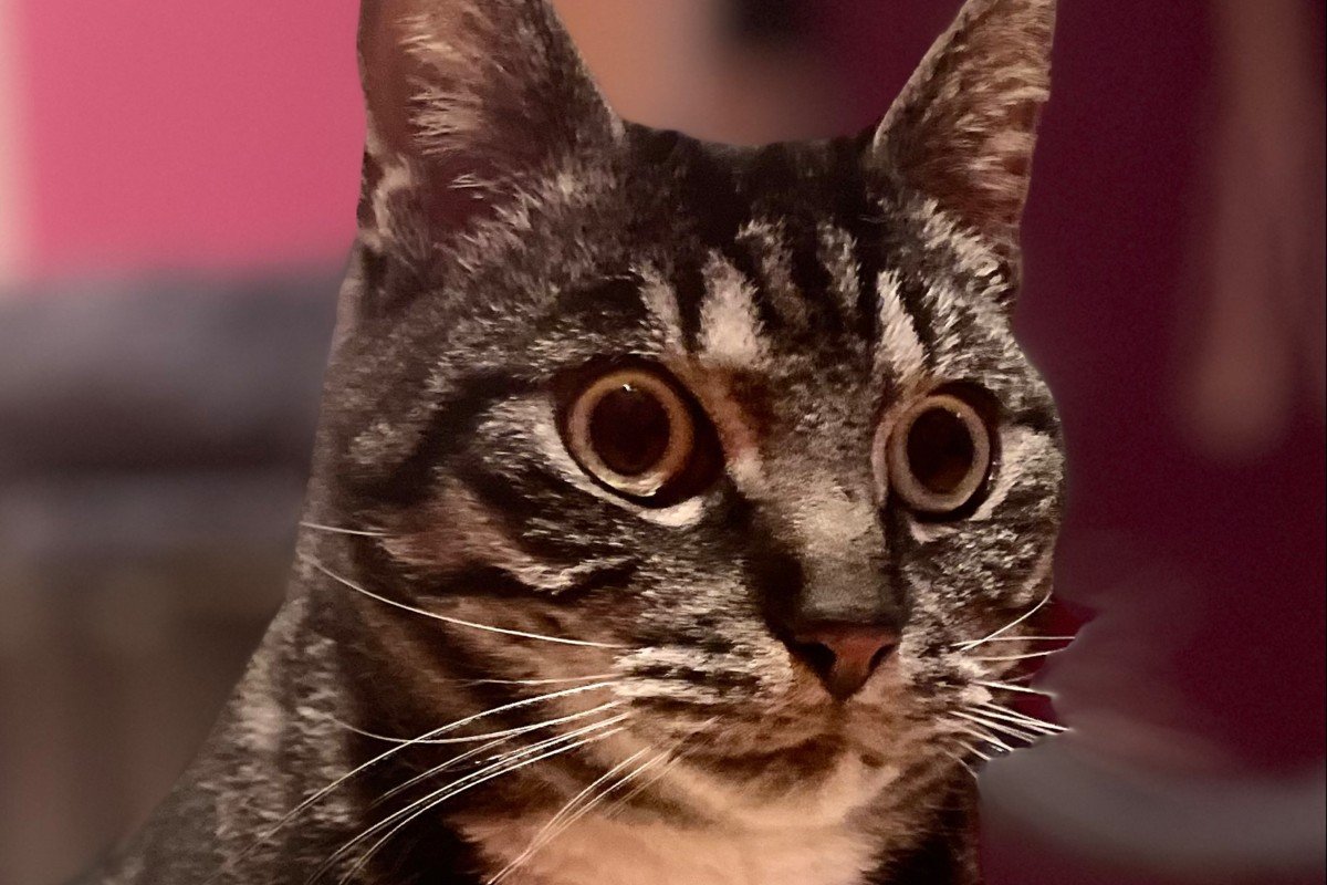 Mimi