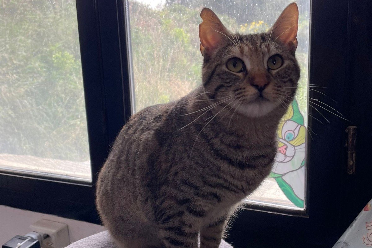 Fran