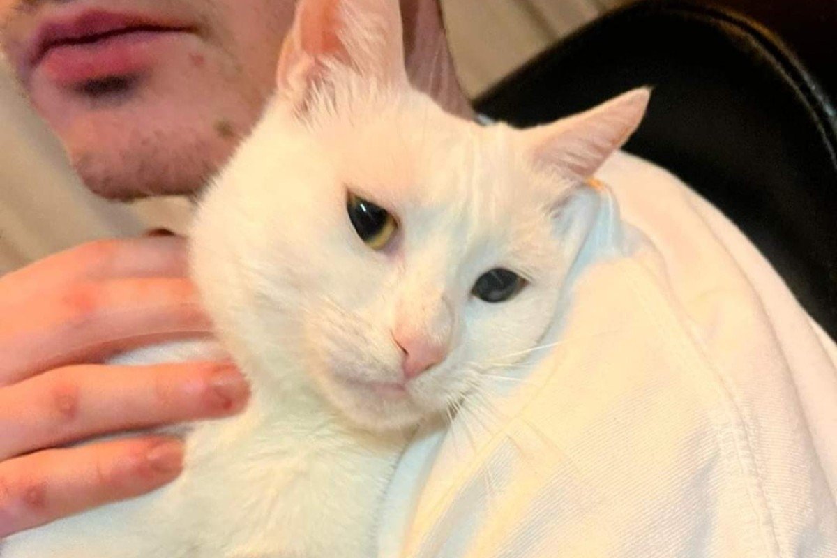 Gemma