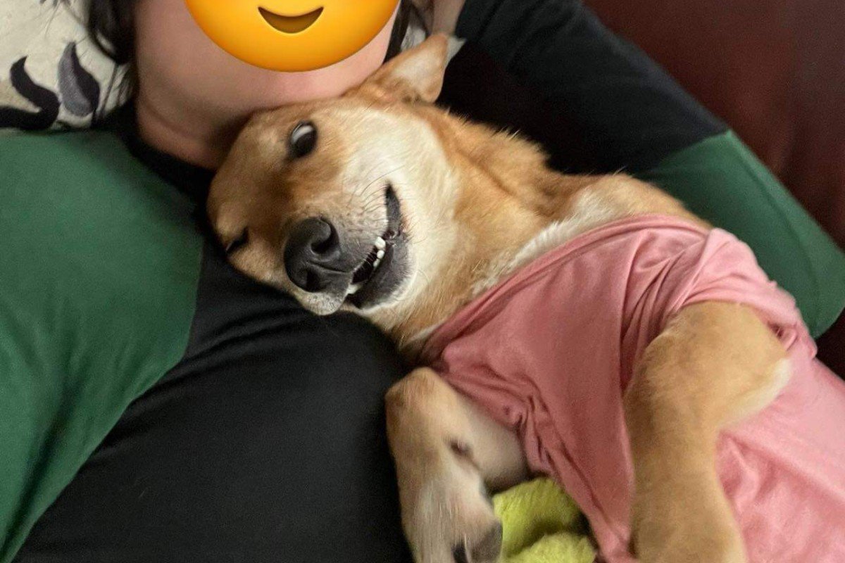 Murashka