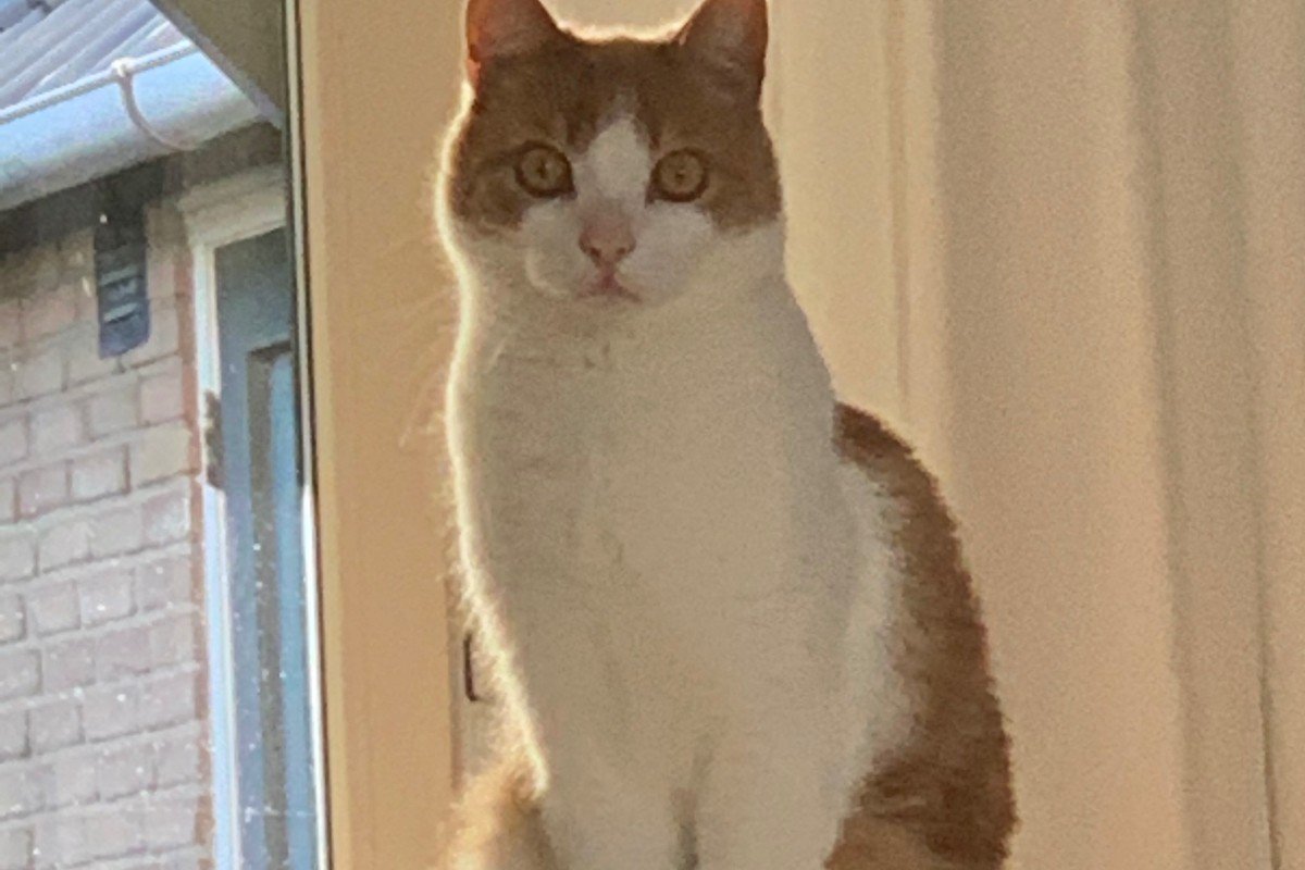 Noa
